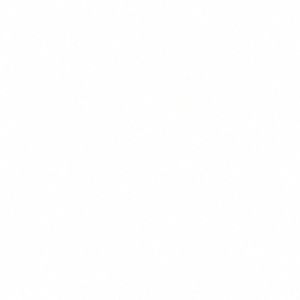 Meet your Posher, Erum